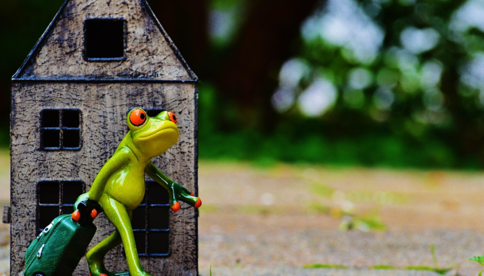 小袋鼠期待着对阵葡萄牙的小快乐