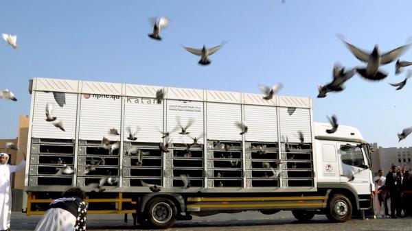 可用版本“新道游有挂吗”详细开挂玩法