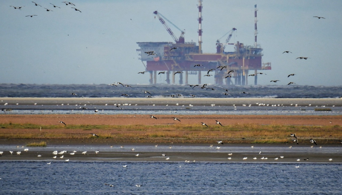 巴士拉原油收低，但全球油价上涨