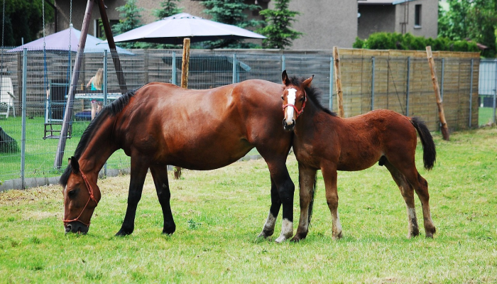 玩家辅助神器:“微乐宁夏捉麻子必赢神器”(原来确实是有挂) 玩家辅助神器:“微乐宁夏捉麻子必赢神器”(原来确实是有挂)