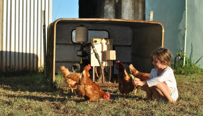 开挂辅助工具“开心泉州麻将开挂神器下载安装!分享用挂教程