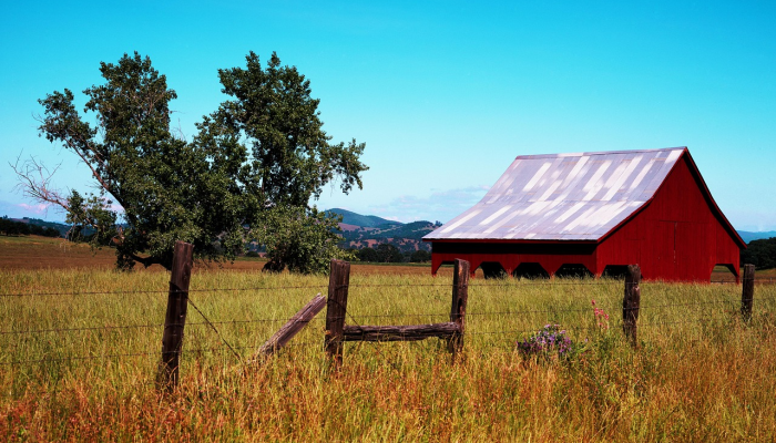 加州大学圣巴巴拉分校的实验性“静态电影”屏幕