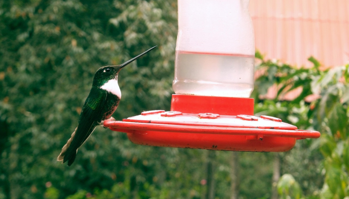 玩家必看教程“吉祥麻将开挂app”详细开挂玩法 玩家必看教程“吉祥麻将开挂app”详细开挂玩法