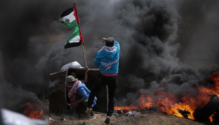 辅助神器“卡农大厅开挂”开挂(透视)辅助教程