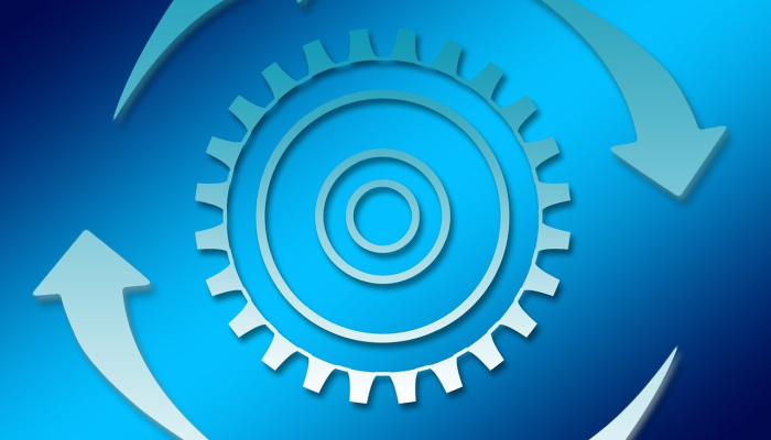 Duolingo裁员,因为它开始更多地依赖人工智能 Duolingo裁员,因为它开始更多地依赖人工智能