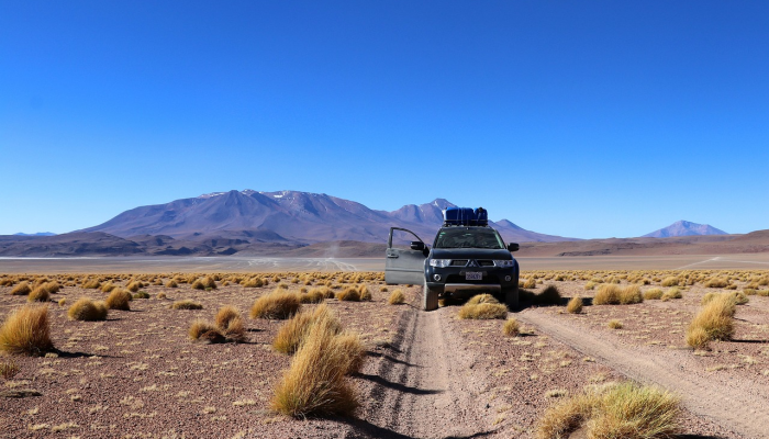 玩家辅助神器：“雀神广东麻将开挂视频教程!分享用挂教程