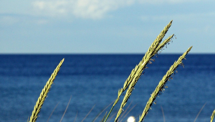 玩家辅助神器:“决胜麻将外卦神器下载安装”详细开挂玩法 玩家辅助神器:“决胜麻将外卦神器下载安装”详细开挂玩法