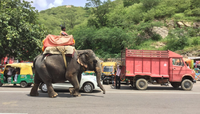 玩家必看教程“科乐斗地主有没有挂”其实确实有挂 玩家必看教程“科乐斗地主有没有挂”其实确实有挂