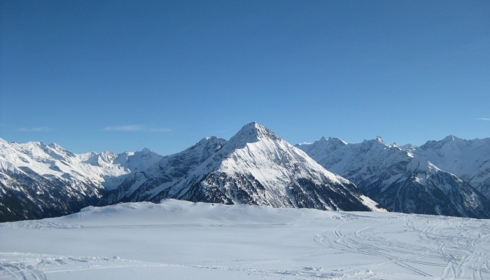 辅助神器“雀神麻将广东麻将怎么打胜率高”详细开挂玩法 辅助神器“雀神麻将广东麻将怎么打胜率高”详细开挂玩法
