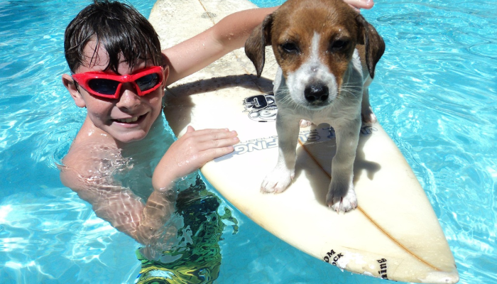 南澳大利亚海域,一名15岁的冲浪少年在第三次鲨鱼袭击中死亡 南澳大利亚海域,一名15岁的冲浪少年在第三次鲨鱼袭击中死亡