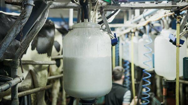 Lakeland holds milk price for October
