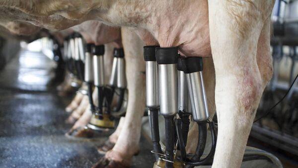 六家全球乳制品巨头签署甲烷承诺