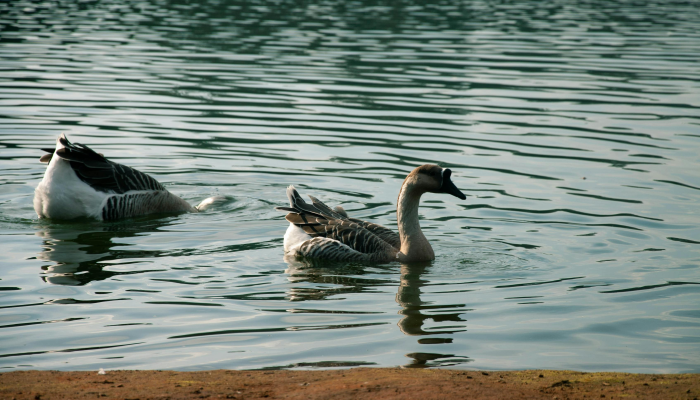 帕加萨:星期六多云,大部分地区有可能下雨,因为“阿米汉” 帕加萨:星期六多云,大部分地区有可能下雨,因为“阿米汉”