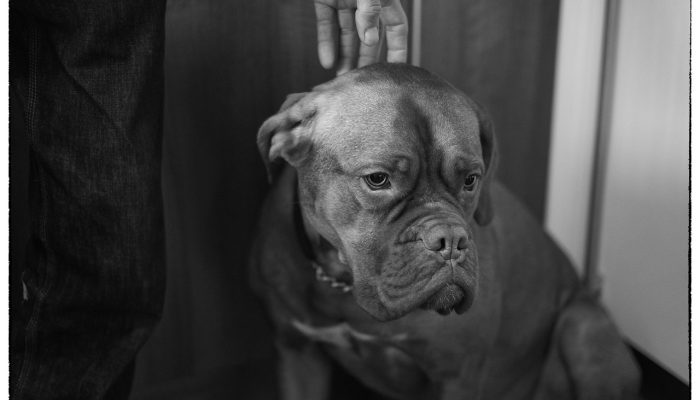 教练Prime在科罗拉多的第二场比赛突出了第二周不败的Pac-12 教练Prime在科罗拉多的第二场比赛突出了第二周不败的Pac-12