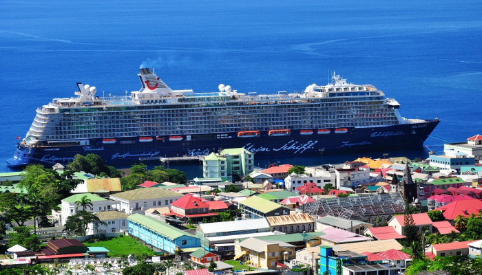 在皇家加勒比或嘉年华游轮上不能做的两件事 在皇家加勒比或嘉年华游轮上不能做的两件事