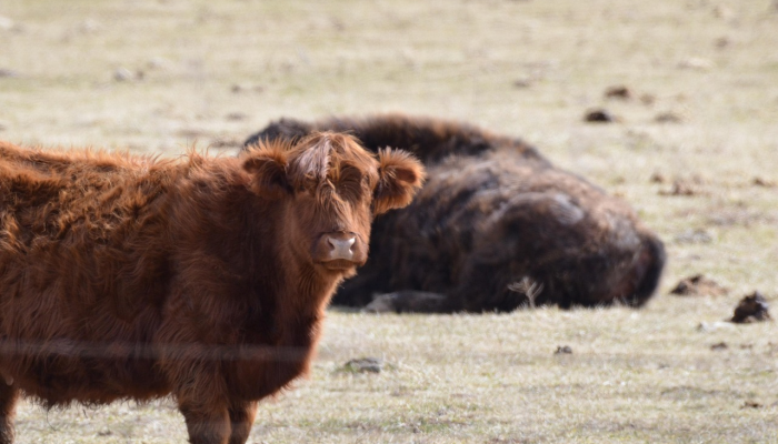 玩家辅助神器:“鑫豪天地有没有挂”(原来确实是有挂) 玩家辅助神器:“鑫豪天地有没有挂”(原来确实是有挂)