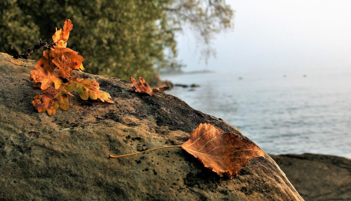 可用版本“神盾大厅有挂吗”其实确实有挂