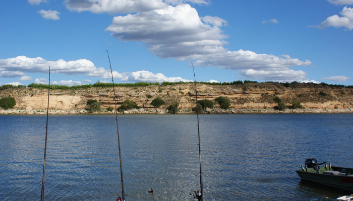 垂钓者在华盛顿海岸捕获破纪录的鱼见历史捕获量照片 垂钓者在华盛顿海岸捕获破纪录的鱼见历史捕获量照片