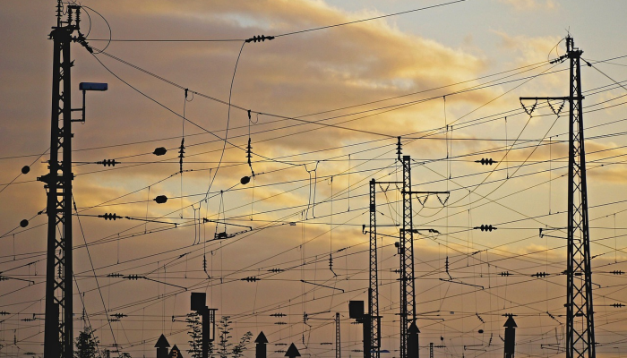 从电刀鱼到人类:感官知觉的普遍摇摆 从电刀鱼到人类:感官知觉的普遍摇摆