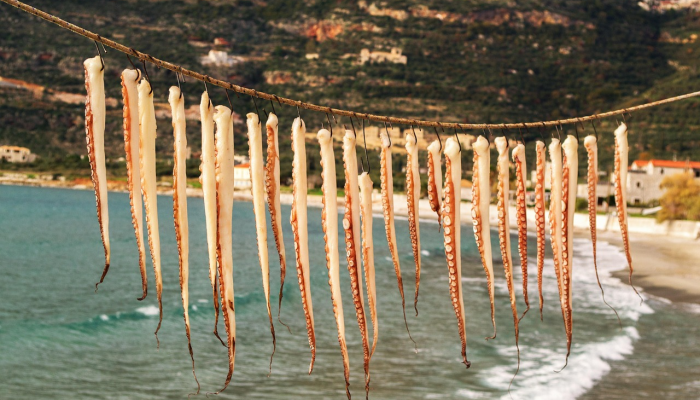 开挂辅助工具“微乐陕西麻将有挂吗免费”其实确实有挂 开挂辅助工具“微乐陕西麻将有挂吗免费”其实确实有挂