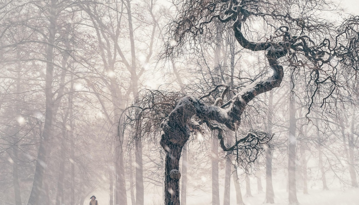 在马哈拉施特拉邦议会冬季会议之前,MVA冷落了信德政府茶党 在马哈拉施特拉邦议会冬季会议之前,MVA冷落了信德政府茶党
