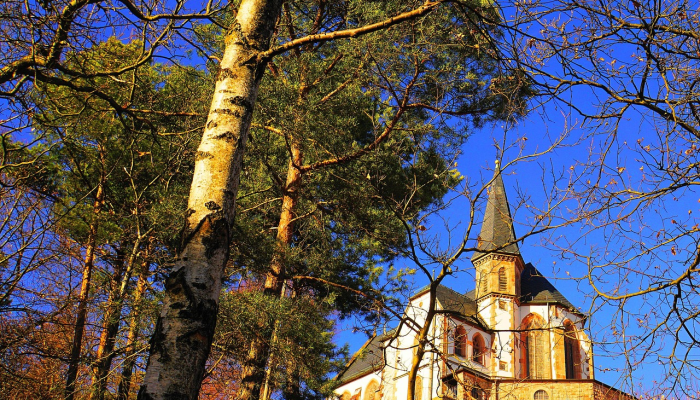 玩家必看教程“微乐麻将开挂app”其实确实有挂