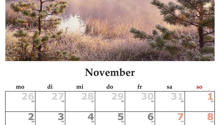 今天的每日运势:2023年11月5日 今天的每日运势:2023年11月5日