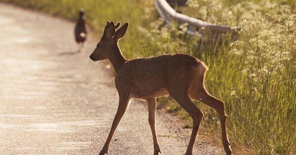 截至上午9点,投票率为6.9% 截至上午9点,投票率为6.9%