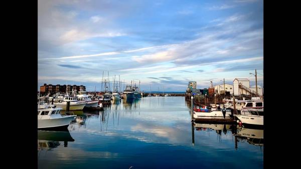 垂钓者在华盛顿海岸捕获破纪录的鱼见历史捕获量照片