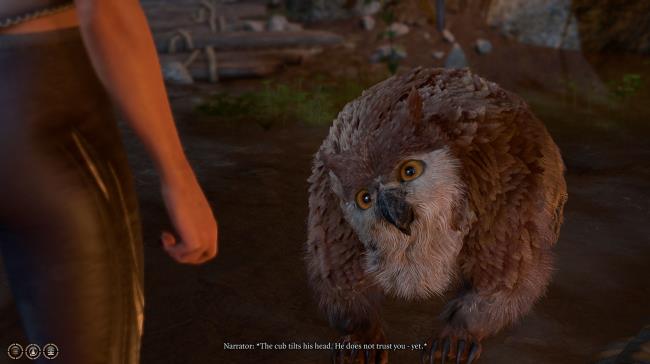 玩家辅助神器:“微乐卡五星小程序开挂方法下载”详细开挂玩法 玩家辅助神器:“微乐卡五星小程序开挂方法下载”详细开挂玩法