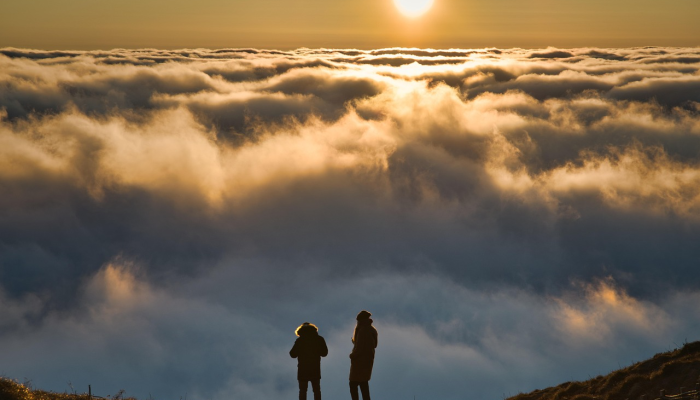 卡纳塔克邦:一对夫妇杀死了11岁的女儿,然后在度假村自我;《遗书》提到金融危机 卡纳塔克邦:一对夫妇杀死了11岁的女儿,然后在度假村自我;《遗书》提到金融危机