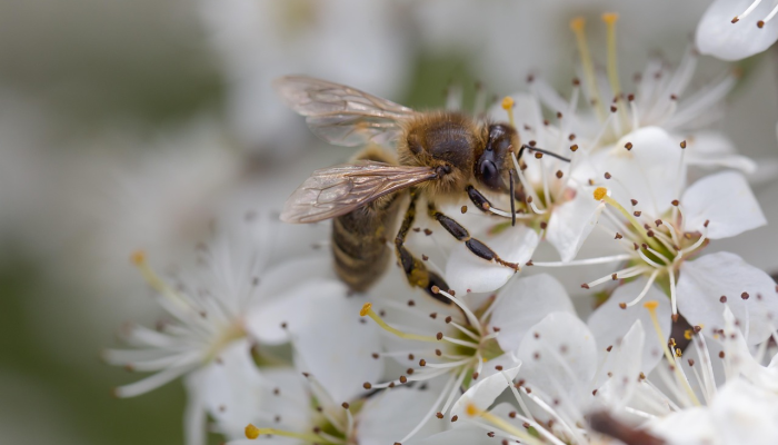 教程辅助!“大满贯互娱有没有挂”分享用挂教程