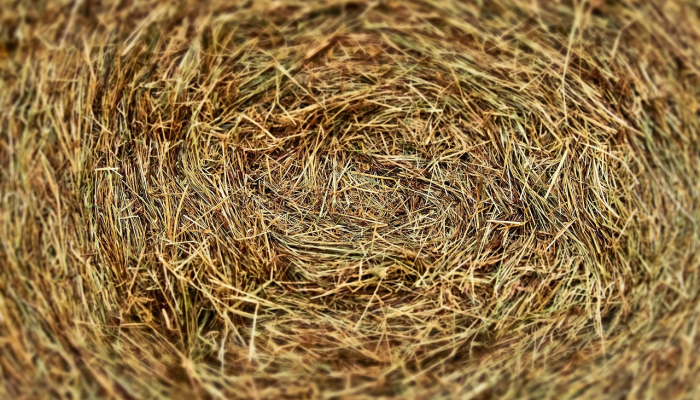 为了控制空气污染,比哈尔邦“点名羞辱”焚烧农作物秸秆的农民 为了控制空气污染,比哈尔邦“点名羞辱”焚烧农作物秸秆的农民