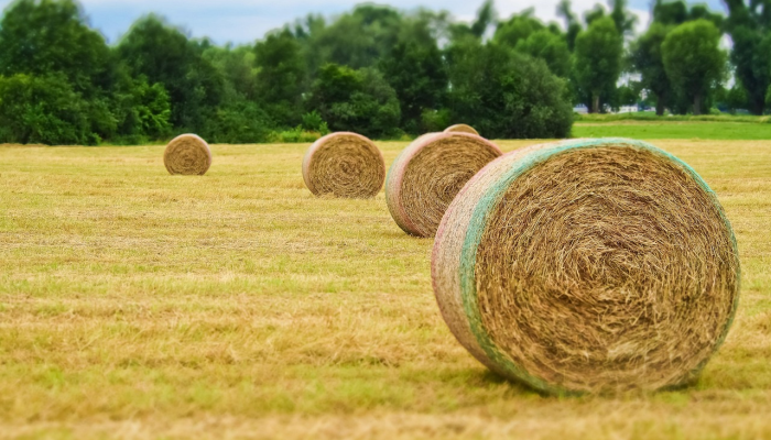 美国逃犯声称身份错误从英国引渡