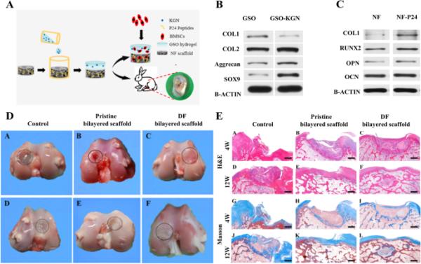 开挂辅助工具“新蛮王金花有挂吗”(原来确实是有挂) 开挂辅助工具“新蛮王金花有挂吗”(原来确实是有挂)