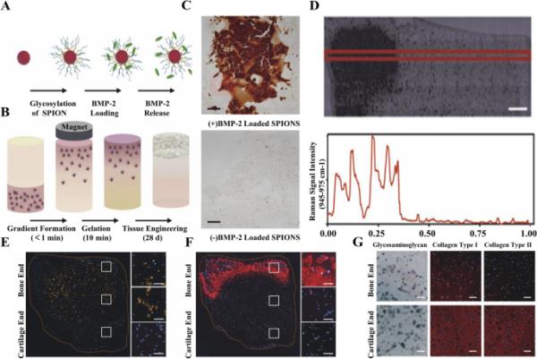 玩家必看教程“微乐广西麻将有挂的吗”其实确实有挂
