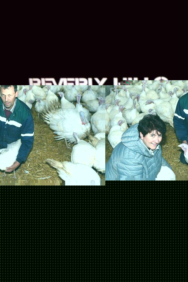 实测辅助“微乐福建麻将有没有挂”其实确实有挂 实测辅助“微乐福建麻将有没有挂”其实确实有挂