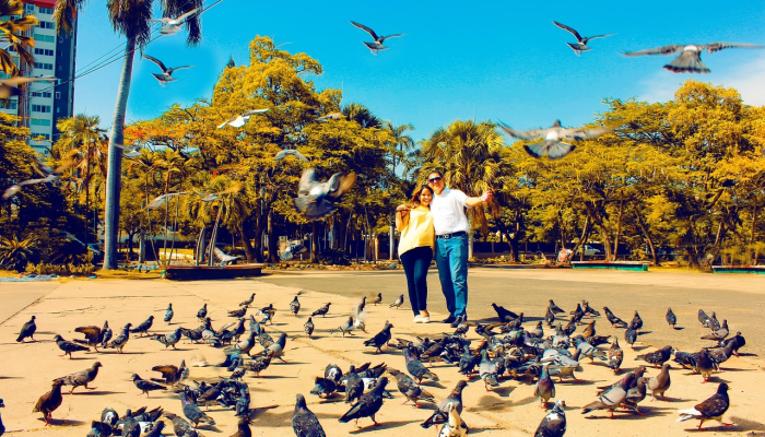 出色的亚达夫让印度在第三轮战胜西印度群岛 出色的亚达夫让印度在第三轮战胜西印度群岛