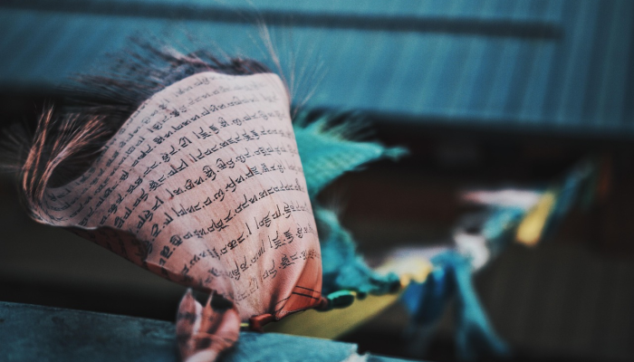 公麋鹿的鹿角缠在100英尺深的网里他获救后“轻多了” 公麋鹿的鹿角缠在100英尺深的网里他获救后“轻多了”