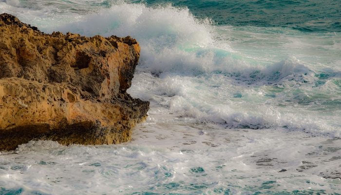 有人比维韦克·拉马斯瓦米竞选总统更有趣吗? 有人比维韦克·拉马斯瓦米竞选总统更有趣吗?