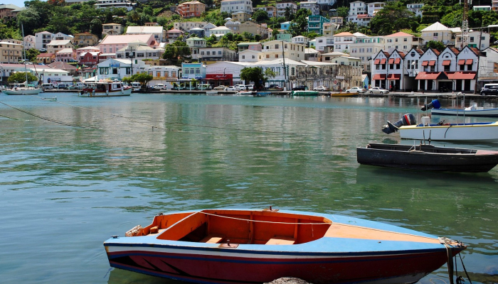 史密斯将取代华纳成为西印度群岛的揭幕战 史密斯将取代华纳成为西印度群岛的揭幕战