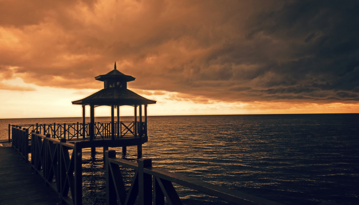 (第2 LD)尹光雄任命民主党议员郑东泳为秘书室室长