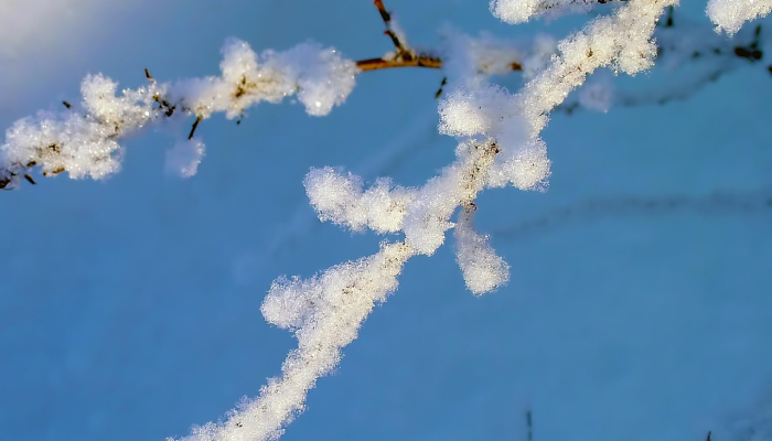 加沙冲突100天之际,原子能机构关注人道主义对儿童的影响 加沙冲突100天之际,原子能机构关注人道主义对儿童的影响