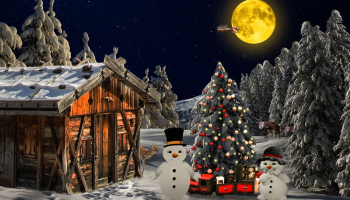 在加迪纳的家中发现非法烟花 在加迪纳的家中发现非法烟花