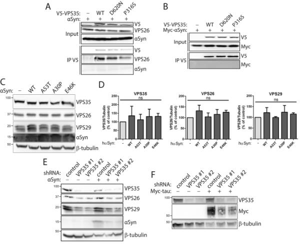 玩家必看教程“微乐双扣可以开挂吗”分享用挂教程 玩家必看教程“微乐双扣可以开挂吗”分享用挂教程