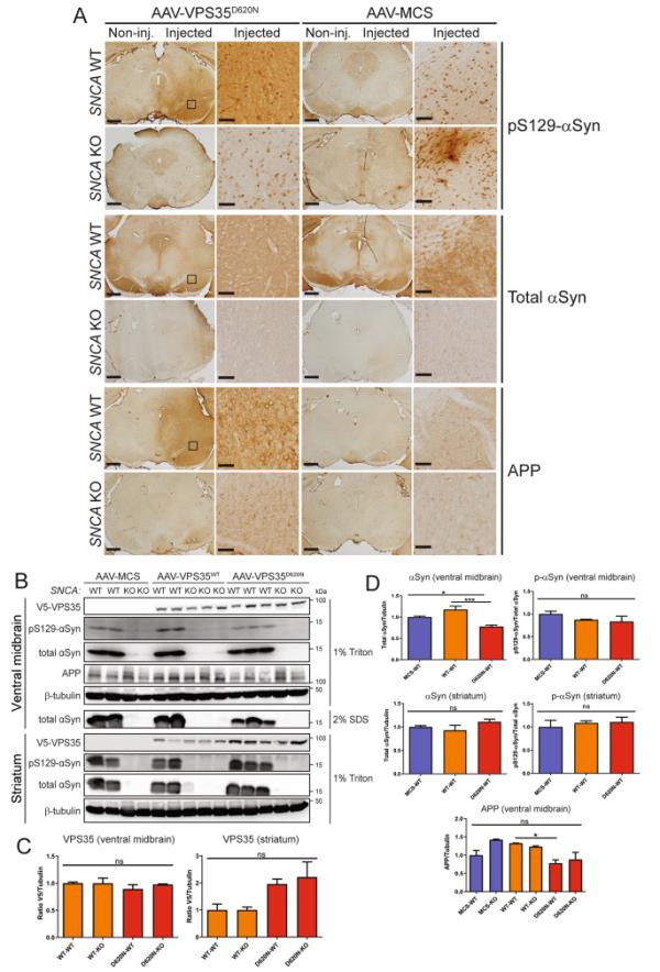 辅助神器“云景互娱有挂吗”详细开挂玩法