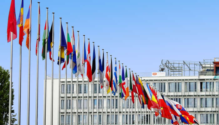 玩家辅助神器：“川南麻将有没有挂”其实确实有挂