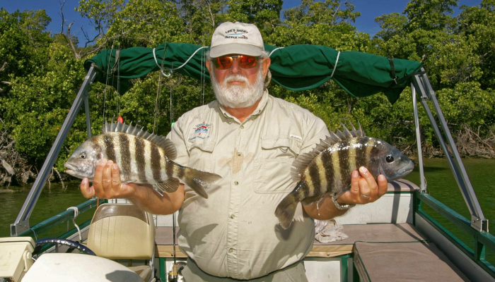 内战如何改变了美国的圣诞节 内战如何改变了美国的圣诞节