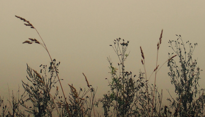 玩家必看教程“指牌屋亲友版辅助”详细开挂玩法