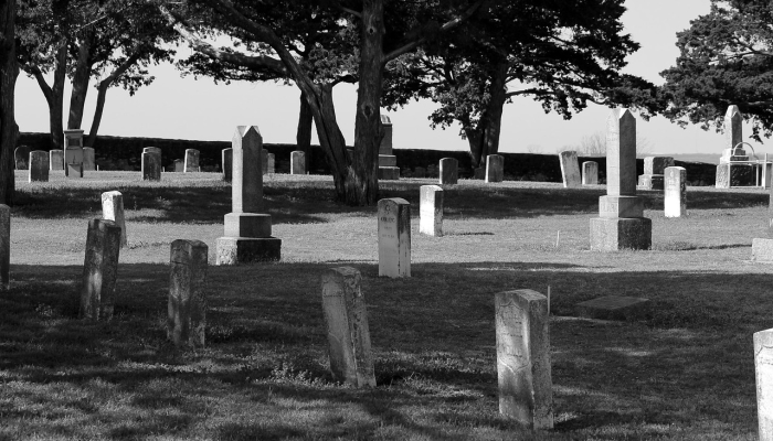 最新教你“天天跑得快真人版开挂”其实确实有挂 最新教你“天天跑得快真人版开挂”其实确实有挂